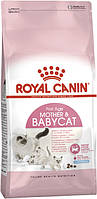 Сухий корм для кішки в період вагітності та новонароджених кошенят Royal Canin MOTHER&BABYCAT 2 кг