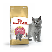 Сухой корм для котят породы британская короткошерстая Royal Canin KITTEN BRITISH SHORTHAIR 2 кг