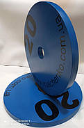 Млинець Сталевий 360 мм, 20 кг синій, фото 5