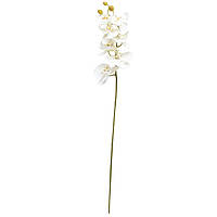Искусственный цветок Орхидея, 72 см, белый (630331)