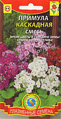 Насіння квітів Примула каскадна Яскрава суміш 18 шт суміш (Плазмові насіння)