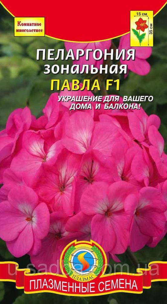 Насіння квітів Пеларгонія зональна Павла F1 3 шт рожеві (Плазмові насіння)
