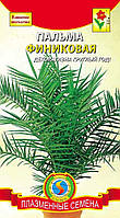 Семена цветов Пальма Финиковая 2 шт не цветущие (Плазменные семена)