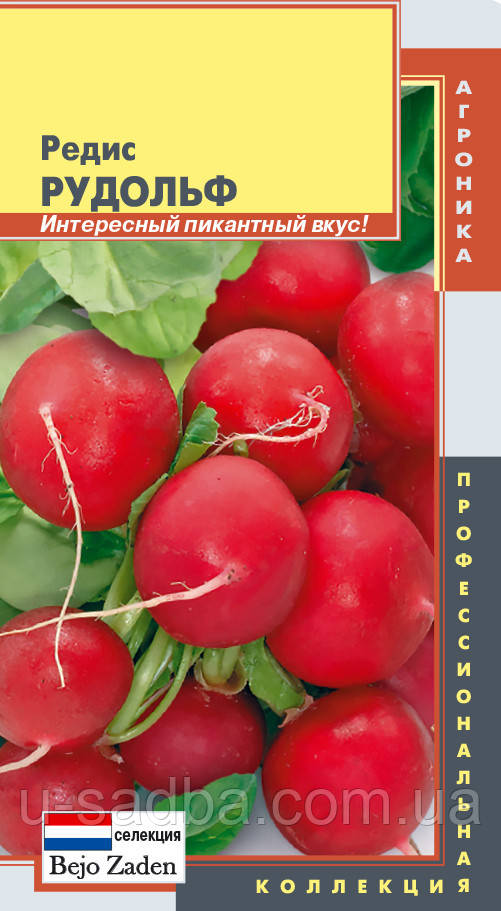 Насіння редиски Редис Рудольф 1 г (Плазмові насіння)