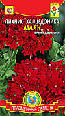 Насіння квітів Лихнис Халцедоника Маяк 0,1 г червоні (Плазмові насіння)