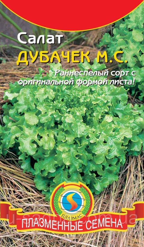 Купить Салат Дубачек М.С. 500 шт (Плазменные семена), цена 9.01 ...