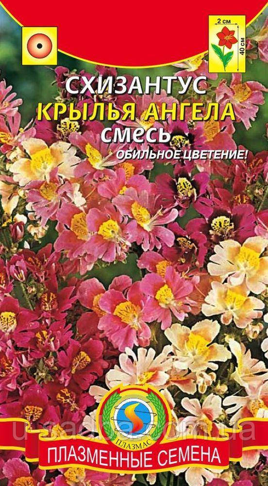 Насіння квітів Схизантус Крила ангела 0,1 г суміш (Плазмові насіння)