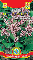 Насіння квітів Бадан Сердцелистный 0,01 г рожеві (Плазмові насіння)
