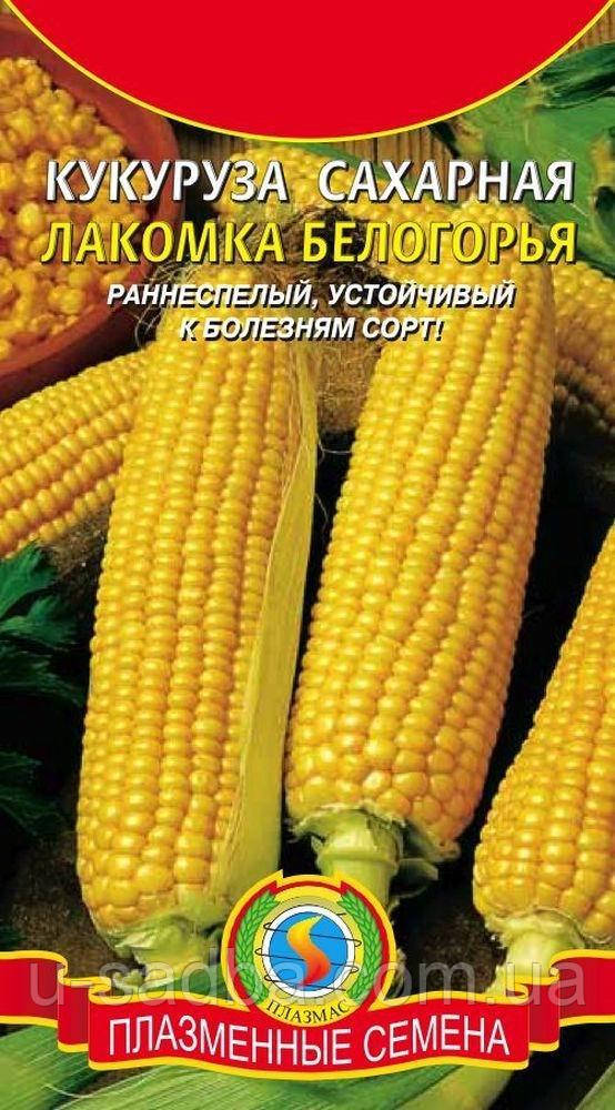 Насіння кукурудзи Кукурудза цукрова Лакомка Білогір'я 5 г (Плазмові насіння)