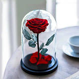 Вічна троянда в колбі  ⁇  Квітка троянда під склом велика червона, фото 3