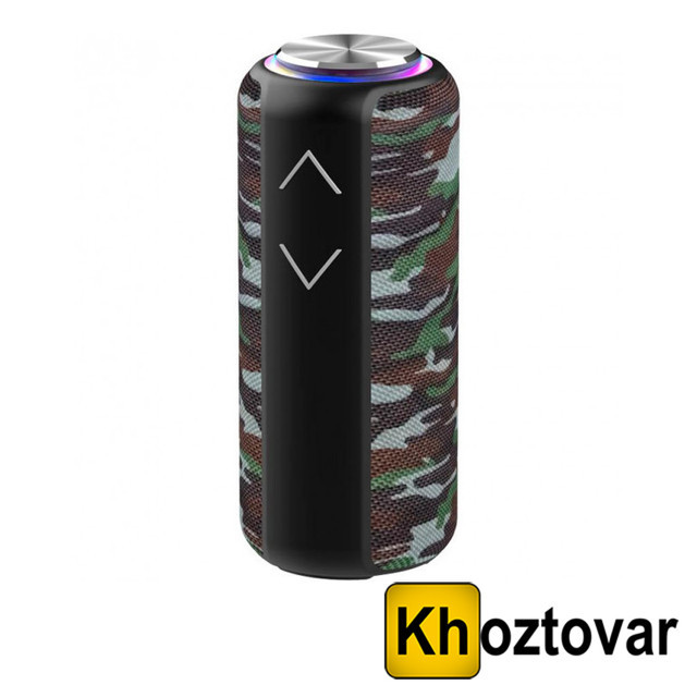 Портативна колонка Hopestar P30 Pro