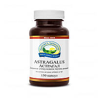 Астрагал, Astragalus, Nature’s Sunshine Products, США, 150 капсул