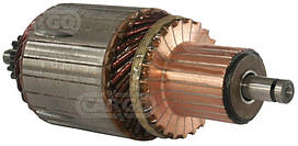 Якір стартера DAF 85CF, CF75, MERCEDES Atego, RENAULT TRUCK Midlum