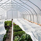 Агроволокно біле 23 г/м² 4.2х100м Shadow Чехія 4% для теплиць парників ґрунту в рулонах W_5693, фото 7