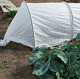 Агроволокно біле 23 г/м² Shadow Чехія 4% завширшки 8.5м для теплиць парників ґрунту в рулонах W_5695, фото 7
