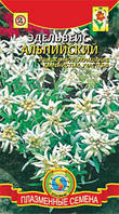 Насіння квітів Едельвейс Альпійський 100 штук білі (Плазмові насіння)
