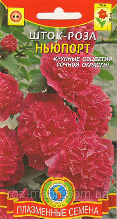 Насіння квітів Шток-троянда Ньюпорт 12 шт рожеві (Плазмові насіння)