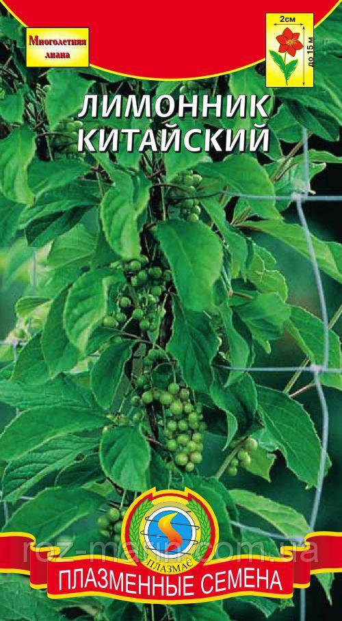 Насіння квітів Лимонник китайський 0,1 гр білі (Плазмові насіння) - фото 1 - id-p1042704049