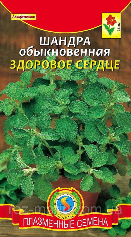 Насіння лікарських Шандра звичайна Здорове серце 0,05 г (Плазмові насіння)