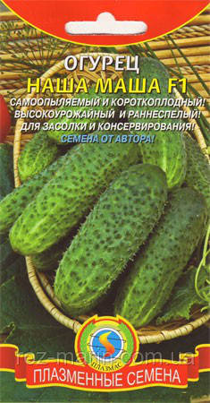 Насіння огірків Огірок Наша Маша F1 10 штук (Плазмові насіння)