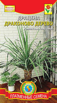 Насіння квітів Драцена Драконове дерево 2 шт не квітучі (Плазмові насіння)