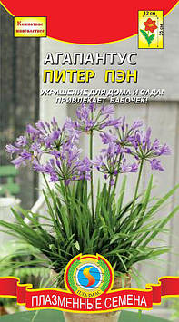 Насіння квітів Агапантус Пітер Пен 4 шт фіолетові (Плазмові насіння)