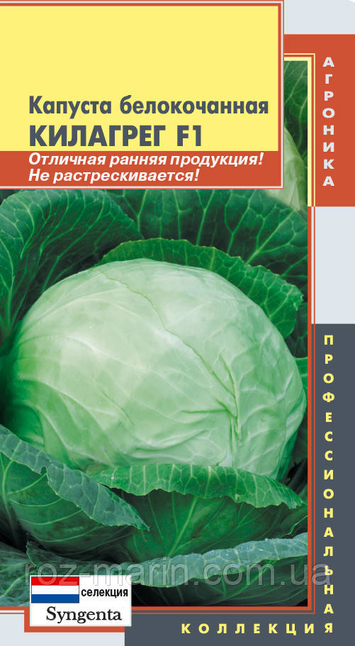 Насіння капусти Капуста білокачанна Килагрег F1 10 штук (Плазмові насіння)