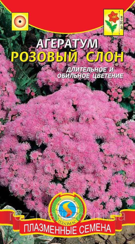 Насіння квітів Агератум Рожевий слон 0,05 г рожеві (Плазмові насіння)