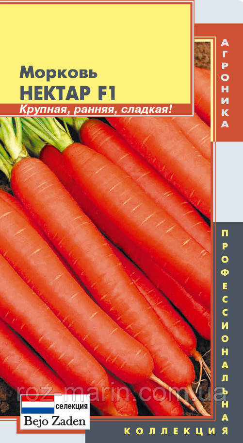 Насіння моркви Морква Нектар F1 140 штук (Плазмові насіння)