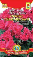 Насіння квітів Цикламен Рококо Темно-червоний червоні (Плазмові насіння)