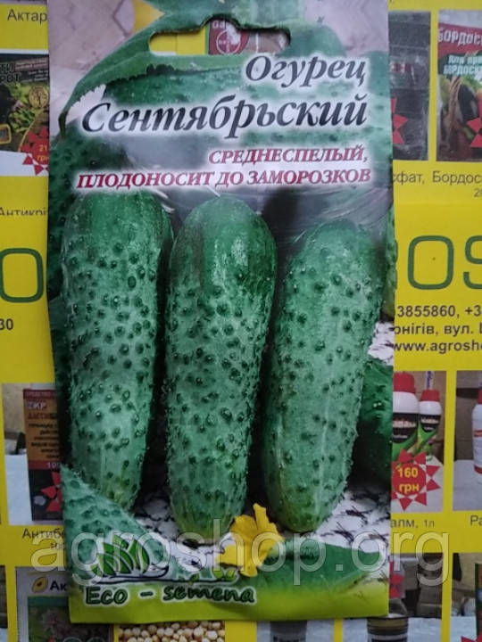 Насіння Капуста Московська зимня 5г