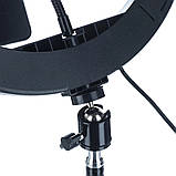 Кільцева світлодіодна кольорова лампа RGB LED MJ33 Набір блогера Селфі кільце зі штативом Студійне світло 33, фото 4