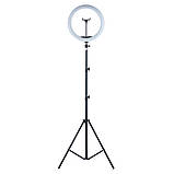 Кільцева світлодіодна кольорова лампа RGB LED MJ33 Набір блогера Селфі кільце зі штативом Студійне світло 33, фото 2