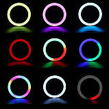 Кільцева світлодіодна кольорова лампа RGB LED MJ33 Набір блогера Селфі кільце зі штативом Студійне світло 33, фото 7