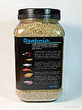 Дафнія суха "Daphnia" тм Буся — корм для акваріумних риб 600 мл/100г, фото 2