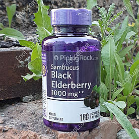 Чорна Бузина Piping Rock Sambucus Black Elderberry 1000 мг 180 капсул