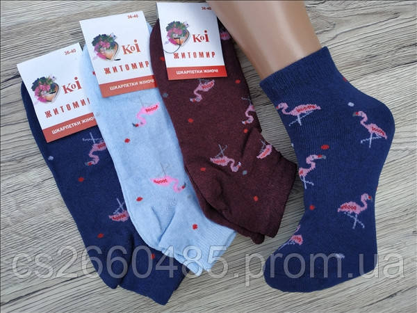 Носки женские короткие демисезонные Украина 36-40 р.,,Коі,, ,,Пандочка,,