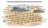 Принцип крапельного зрошення