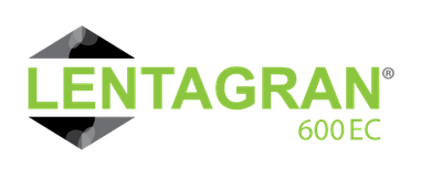 Гербіцид Лентагран 600 Lentagran Бельгія; Піридат 600 г/л для кукурудзи та нуту