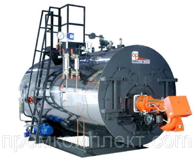 Парогенератор промисловий газовий великої потужності Panini ECOVAP