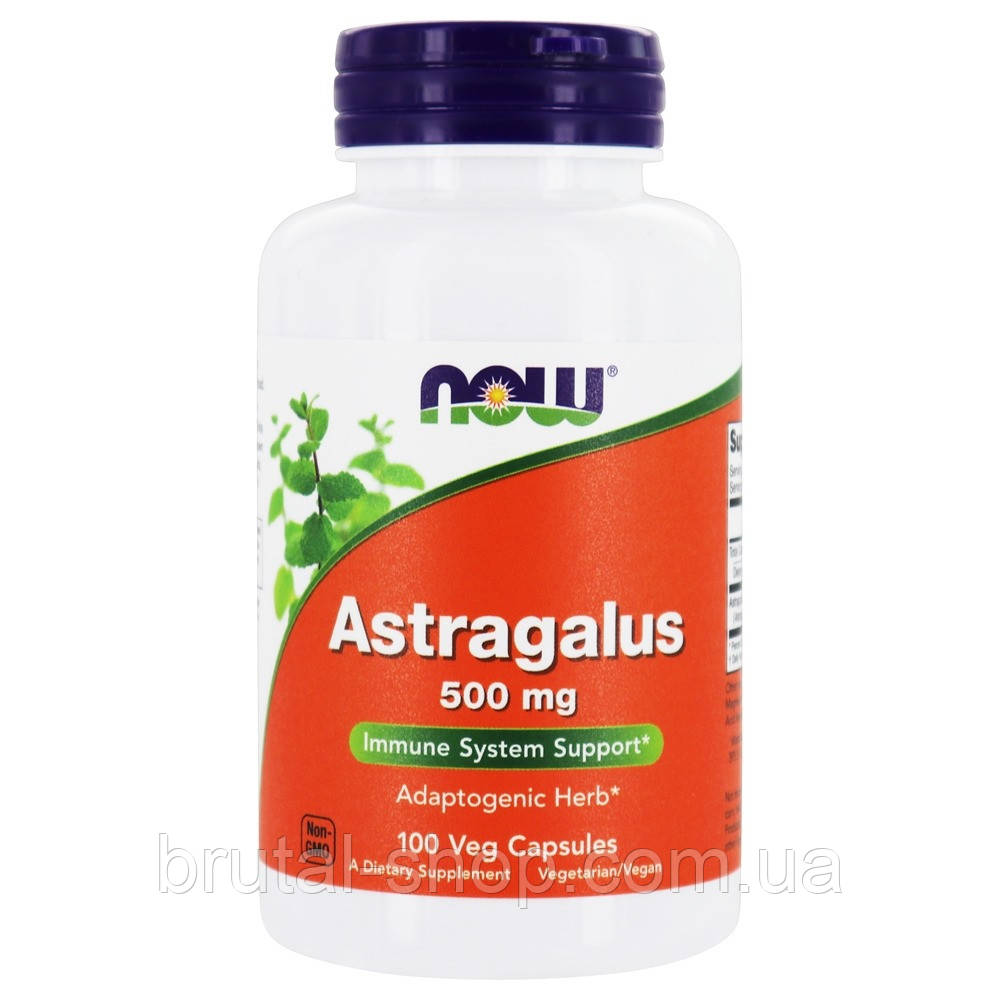 Астрагал, Now Foods Astragalus 500 mg (100 caps)