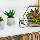 301020. Термометр цифровой TFA, внешний проводной датчик, 105х65х20 мм, фото 2