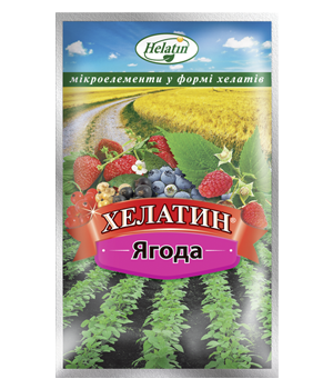 Добриво Хелатин Ягода 50 мл, Киссон