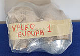 Оригінальні BI -Xenon лінзи Valeo європейські, фото 3