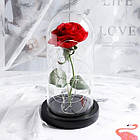 Троянда в колбі з LED підсвіткою 20 см, Червона, на батарейках / Нічник Вічна троянда / Квітка в колбі, фото 6