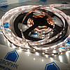 Світлодіодна стрічка нейтральна 12V smd2835 ІР20 4200К (5 метрів) 60led негерметична, фото 6