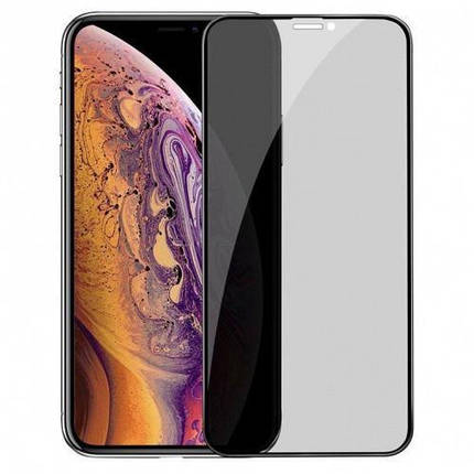 Захисне скло для iPhone 12 Pro Max Privacy Антишпигун тех. упак., фото 1