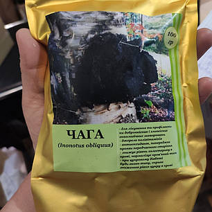 Чага порошок імуномодулювальний, Обмін речовин, Онкологія, молочно-кишковий тракт Фунгодоктор 100 г, фото 3