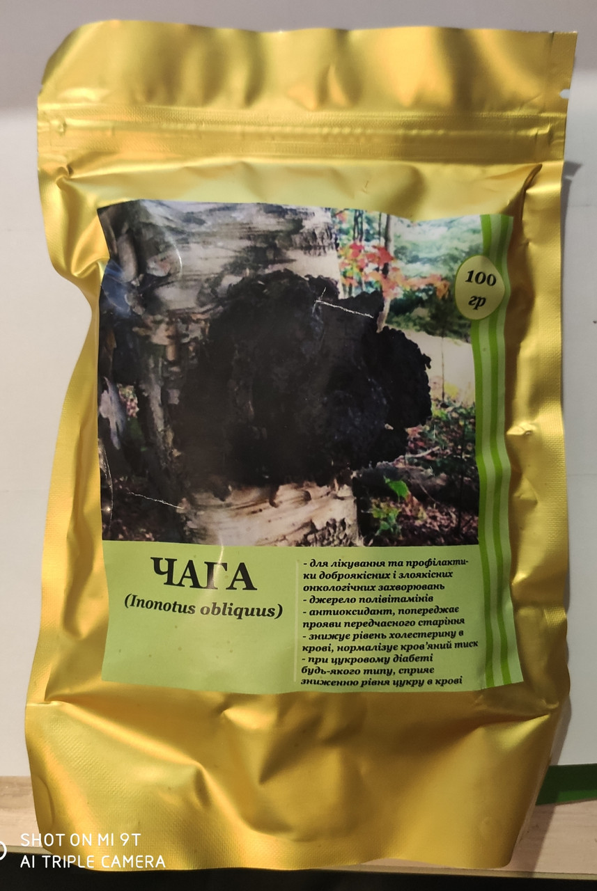 Чага порошок імуномодулювальний, Обмін речовин, Онкологія, молочно-кишковий тракт Фунгодоктор 100 г