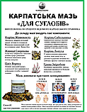 Мазь для суглобів на основі кореня Живокоста, фото 3